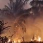 Kebakaran hutan dan lahan (karhutla) tak hanya terjadi di Kalimantan, keadaan serupa juga melanda sejumlah wilayah Papua Tengah. [istimewa] 
