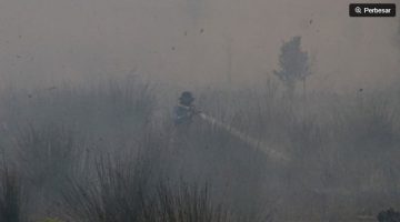 Petugas melakukan pemadaman kebakaran lahan di Kota Palangka Raya. ANTARA/Auliya Rahman. 