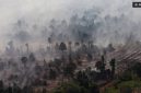 Foto udara kebakaran hutan dan lahan gambut di Kabupaten Kayong Utara, Kalimantan Barat, Jumat (31/7/2026). [ANTARA FOTO/Jessica Wuysang/YU] 