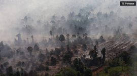 Foto udara kebakaran hutan dan lahan gambut di Kabupaten Kayong Utara, Kalimantan Barat, Jumat (31/7/2026). [ANTARA FOTO/Jessica Wuysang/YU] 