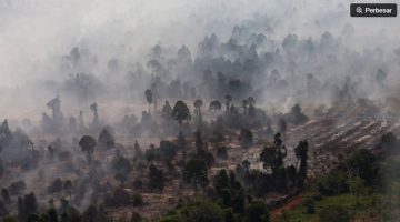Foto udara kebakaran hutan dan lahan gambut di Kabupaten Kayong Utara, Kalimantan Barat, Jumat (31/7/2026). [ANTARA FOTO/Jessica Wuysang/YU] 