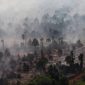 Foto udara kebakaran hutan dan lahan gambut di Kabupaten Kayong Utara, Kalimantan Barat, Jumat (31/7/2026). [ANTARA FOTO/Jessica Wuysang/YU] 