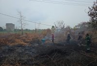 Personel gabungan disiagakan Pemerintah Provinsi Kalimantan Tengah untuk memperkuat pencegahan dan penanganan kebakaran hutan dan lahan di seluruh wilayah Kalteng. Senin (7/9/26)