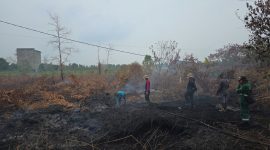 Personel gabungan disiagakan Pemerintah Provinsi Kalimantan Tengah untuk memperkuat pencegahan dan penanganan kebakaran hutan dan lahan di seluruh wilayah Kalteng. Senin (7/9/26)