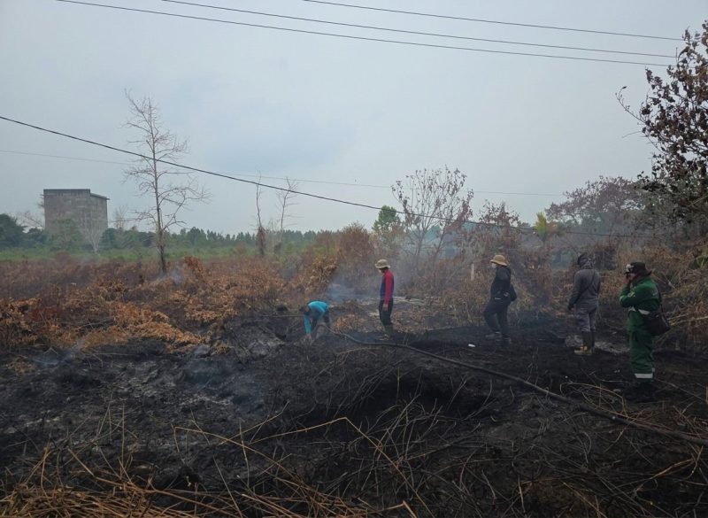 Personel gabungan disiagakan Pemerintah Provinsi Kalimantan Tengah untuk memperkuat pencegahan dan penanganan kebakaran hutan dan lahan di seluruh wilayah Kalteng. Senin (7/9/26)