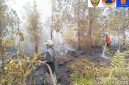 Tim gabungan melakukan penanganan dan pemadaman Kebakaran Hutan dan Lahan (Karhutla) di wilayah Kalimantan Tengah sebagai bagian dari operasi terpadu penanggulangan Karhutla, Senin (14/9/26).
