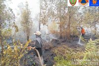 Tim gabungan melakukan penanganan dan pemadaman Kebakaran Hutan dan Lahan (Karhutla) di wilayah Kalimantan Tengah sebagai bagian dari operasi terpadu penanggulangan Karhutla, Senin (14/9/26).