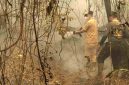 Gubernur Kalimantan Tengah H. Agustiar Sabran turun langsung membantu upaya pemadaman kebakaran hutan dan lahan di Jalan Cilik Riwut Km 17, Palangka Raya, Selasa (15/9/26).