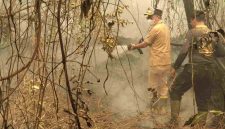 Gubernur Kalimantan Tengah H. Agustiar Sabran turun langsung membantu upaya pemadaman kebakaran hutan dan lahan di Jalan Cilik Riwut Km 17, Palangka Raya, Selasa (15/9/26).