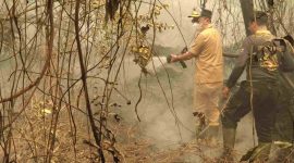 Gubernur Kalimantan Tengah H. Agustiar Sabran turun langsung membantu upaya pemadaman kebakaran hutan dan lahan di Jalan Cilik Riwut Km 17, Palangka Raya, Selasa (15/9/26).