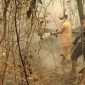 Gubernur Kalimantan Tengah H. Agustiar Sabran turun langsung membantu upaya pemadaman kebakaran hutan dan lahan di Jalan Cilik Riwut Km 17, Palangka Raya, Selasa (15/9/26).