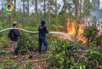 Anggota Damkar Seruyan saat memadamkan api di lahan yang terbakar. Persoalan kebakaran hutan dan lahan (karhutla) menjadi salah satu perhatian utama Fraksi Keadilan Pembangunan Demokrasi Nasional (KPDN) dalam Rapat Paripurna pembahasan Perubahan APBD Kabupaten Seruyan Tahun Anggaran 2026 di DPRD Seruyan belum lama ini.