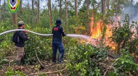 Anggota Damkar Seruyan saat memadamkan api di lahan yang terbakar. Persoalan kebakaran hutan dan lahan (karhutla) menjadi salah satu perhatian utama Fraksi Keadilan Pembangunan Demokrasi Nasional (KPDN) dalam Rapat Paripurna pembahasan Perubahan APBD Kabupaten Seruyan Tahun Anggaran 2026 di DPRD Seruyan belum lama ini.