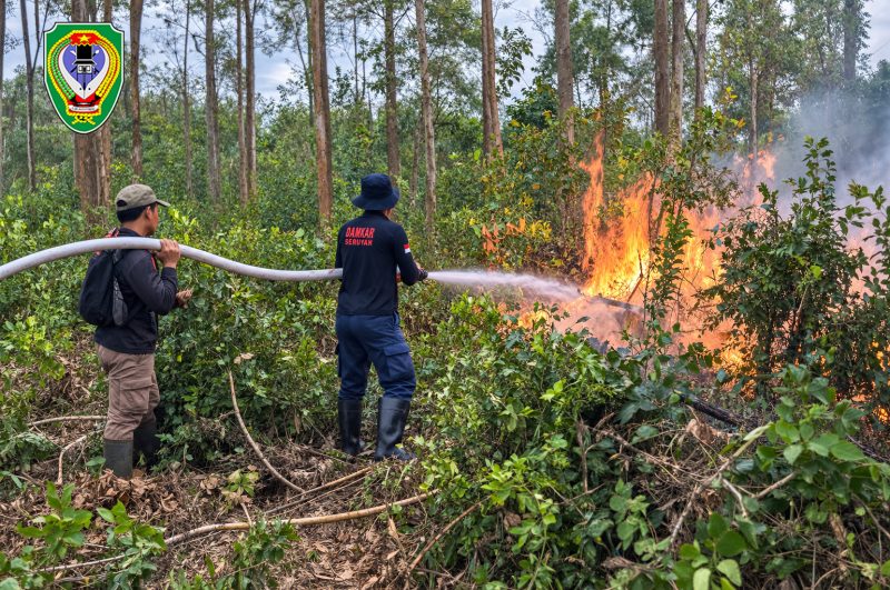 Anggota Damkar Seruyan saat memadamkan api di lahan yang terbakar. Persoalan kebakaran hutan dan lahan (karhutla) menjadi salah satu perhatian utama Fraksi Keadilan Pembangunan Demokrasi Nasional (KPDN) dalam Rapat Paripurna pembahasan Perubahan APBD Kabupaten Seruyan Tahun Anggaran 2026 di DPRD Seruyan belum lama ini.