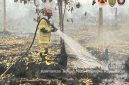 Tim Satgas Gabungan melakukan pemadaman dan pengendalian kebakaran hutan dan lahan di sejumlah wilayah Kalimantan Tengah sebagai bagian dari penanganan darurat karhutla, Sabtu (27/9/26).
