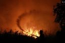 Petugas dari Dinas Kehutanan Kalteng berupaya memadamkan kebakaran di Kelurahan Menteng, Palangka Raya, Kalimantan Tengah, Kamis (27/8/2026). [ANTARA FOTO/Auliya Rahman/foc] 