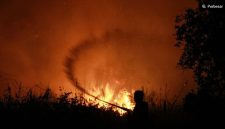Petugas dari Dinas Kehutanan Kalteng berupaya memadamkan kebakaran di Kelurahan Menteng, Palangka Raya, Kalimantan Tengah, Kamis (27/8/2026). [ANTARA FOTO/Auliya Rahman/foc] 