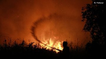 Petugas dari Dinas Kehutanan Kalteng berupaya memadamkan kebakaran di Kelurahan Menteng, Palangka Raya, Kalimantan Tengah, Kamis (27/8/2026). [ANTARA FOTO/Auliya Rahman/foc] 