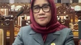 Ketua Komisi II DPRD Kalteng, Siti Nafsiah. (Istimewa)