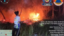 Petugas gabungan melakukan pemadaman dan pengendalian kebakaran hutan dan lahan di wilayah Kalimantan Tengah, Senin (5/10/26).