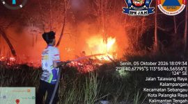 Petugas gabungan melakukan pemadaman dan pengendalian kebakaran hutan dan lahan di wilayah Kalimantan Tengah, Senin (5/10/26).
