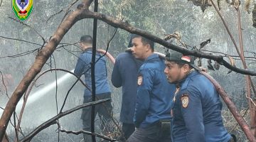 Anggota Damkar berjibaku memadamkan api saat terjadi kebakaran hutan dan lahan (karhutla) di Kabupaten Seruyan. Pemkab Seruyan menyiapkan bantuan sebesar Rp50 juta untuk setiap rumah warga yang terdampak kebakaran. Bantuan tersebut akan digunakan untuk membeli bahan bangunan dan membayar upah tukang guna memperbaiki rumah yang rusak akibat kebakaran.