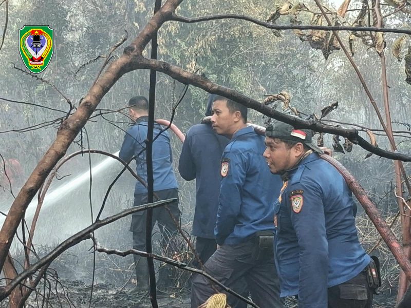 Anggota Damkar berjibaku memadamkan api saat terjadi kebakaran hutan dan lahan (karhutla) di Kabupaten Seruyan. Pemkab Seruyan menyiapkan bantuan sebesar Rp50 juta untuk setiap rumah warga yang terdampak kebakaran. Bantuan tersebut akan digunakan untuk membeli bahan bangunan dan membayar upah tukang guna memperbaiki rumah yang rusak akibat kebakaran.