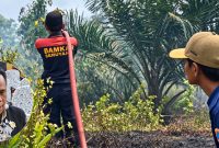 Kegiatan pemadaman lahan yang dilakukan oleh anggota Damkar Seruyan. Wakil Ketua DPRD Seruyan, Harsandi, turut memberikan perhatian terhadap maraknya kebakaran hutan dan lahan (karhutla) yang terjadi di sejumlah wilayah Kabupaten Seruyan.