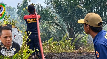 Kegiatan pemadaman lahan yang dilakukan oleh anggota Damkar Seruyan. Wakil Ketua DPRD Seruyan, Harsandi, turut memberikan perhatian terhadap maraknya kebakaran hutan dan lahan (karhutla) yang terjadi di sejumlah wilayah Kabupaten Seruyan.