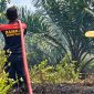 Kegiatan pemadaman lahan yang dilakukan oleh anggota Damkar Seruyan. Wakil Ketua DPRD Seruyan, Harsandi, turut memberikan perhatian terhadap maraknya kebakaran hutan dan lahan (karhutla) yang terjadi di sejumlah wilayah Kabupaten Seruyan.