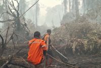 BPB-PK Provinsi Kalimantan Tengah mengintensifkan penanganan kebakaran hutan dan lahan melalui pengerahan personel gabungan, operasi pemadaman darat dan udara, serta upaya pencegahan untuk mengurangi dampak kabut asap di wilayah Kalimantan Tengah.