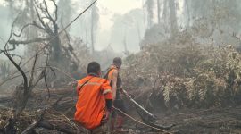 BPB-PK Provinsi Kalimantan Tengah mengintensifkan penanganan kebakaran hutan dan lahan melalui pengerahan personel gabungan, operasi pemadaman darat dan udara, serta upaya pencegahan untuk mengurangi dampak kabut asap di wilayah Kalimantan Tengah.