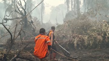 BPB-PK Provinsi Kalimantan Tengah mengintensifkan penanganan kebakaran hutan dan lahan melalui pengerahan personel gabungan, operasi pemadaman darat dan udara, serta upaya pencegahan untuk mengurangi dampak kabut asap di wilayah Kalimantan Tengah.