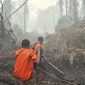 BPB-PK Provinsi Kalimantan Tengah mengintensifkan penanganan kebakaran hutan dan lahan melalui pengerahan personel gabungan, operasi pemadaman darat dan udara, serta upaya pencegahan untuk mengurangi dampak kabut asap di wilayah Kalimantan Tengah.