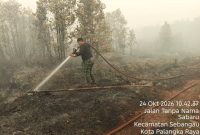 Personel gabungan bersama BPBPK Provinsi Kalimantan Tengah mengintensifkan penanganan kebakaran hutan dan lahan melalui operasi darat, dukungan helikopter pemadam, patroli udara, dan Operasi Modifikasi Cuaca, Sabtu (24/10/26).