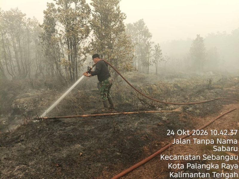 Personel gabungan bersama BPBPK Provinsi Kalimantan Tengah mengintensifkan penanganan kebakaran hutan dan lahan melalui operasi darat, dukungan helikopter pemadam, patroli udara, dan Operasi Modifikasi Cuaca, Sabtu (24/10/26).
