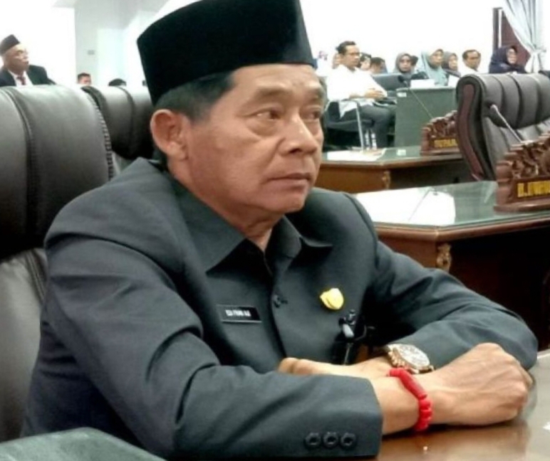 Politikus Nasdem anggota DPRD Kabupaten Barito Utara (komisi II), Edi Fran Aji.
