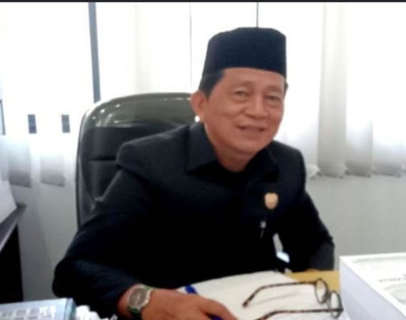 Politisi PKB anggota DPRD Kabupaten Barito Utara (komisi III), Nurul Anwar.