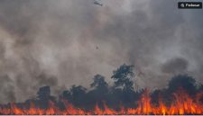 Helikopter Black Hawk VH-UHG milik BNPB melakukan pemadaman kebakaran lahan dari udara (water boombing) di Desa Rambutan, Kecamatan Indralaya Utara, Kabupaten Ogan Ilir (OI), Sumatera Selatan, Sabtu (12/9/2026). [ANTARA FOTO/Nova Wahyudi/tom] 