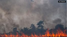 Helikopter Black Hawk VH-UHG milik BNPB melakukan pemadaman kebakaran lahan dari udara (water boombing) di Desa Rambutan, Kecamatan Indralaya Utara, Kabupaten Ogan Ilir (OI), Sumatera Selatan, Sabtu (12/9/2026). [ANTARA FOTO/Nova Wahyudi/tom] 