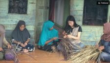 Anak Muda Indonesia Kembangkan Purun untuk Jaga Gambut. (Dok. Ist) 