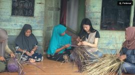 Anak Muda Indonesia Kembangkan Purun untuk Jaga Gambut. (Dok. Ist) 