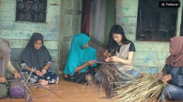 Anak Muda Indonesia Kembangkan Purun untuk Jaga Gambut. (Dok. Ist) 